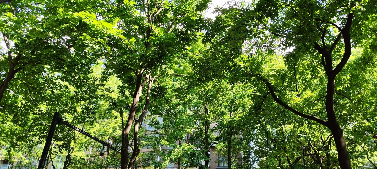 outside-of-my-office