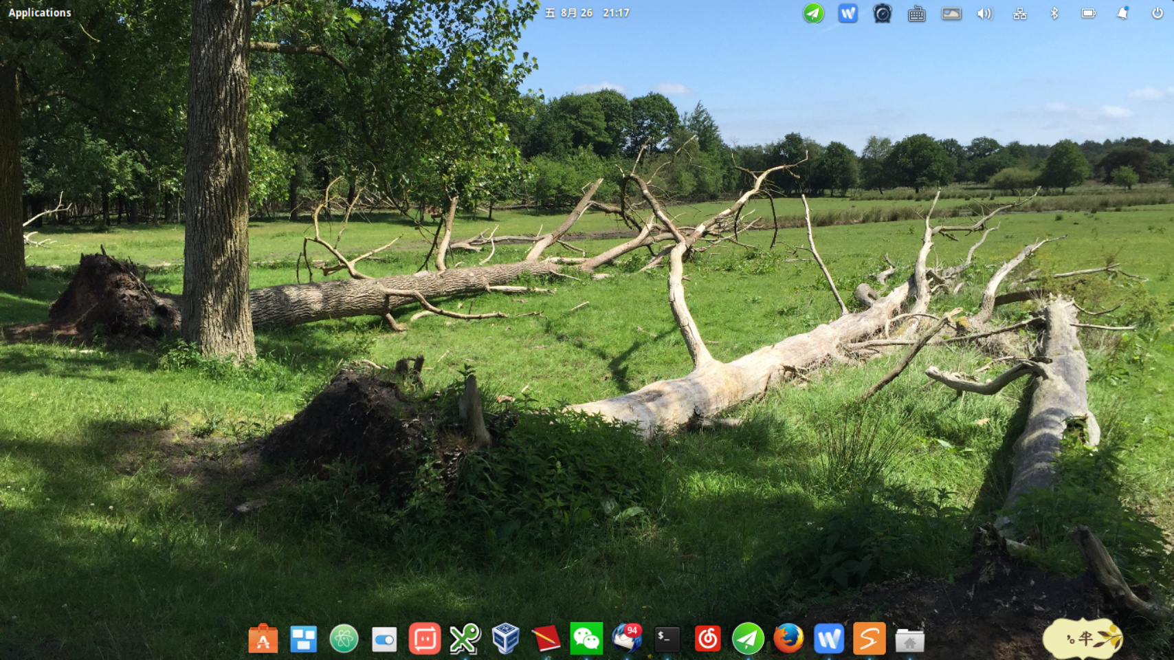 elementaryos